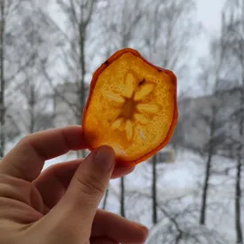 Фруктовые чипсы хурма, 100 гр.